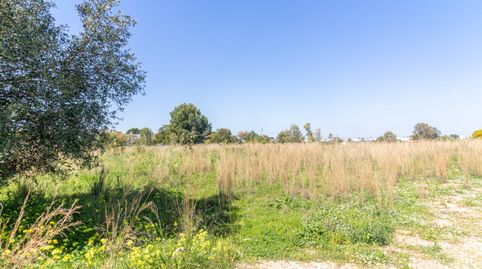 Foto 5 von Residential zum Verkauf in La Pedrera - Vessanes, Dénia