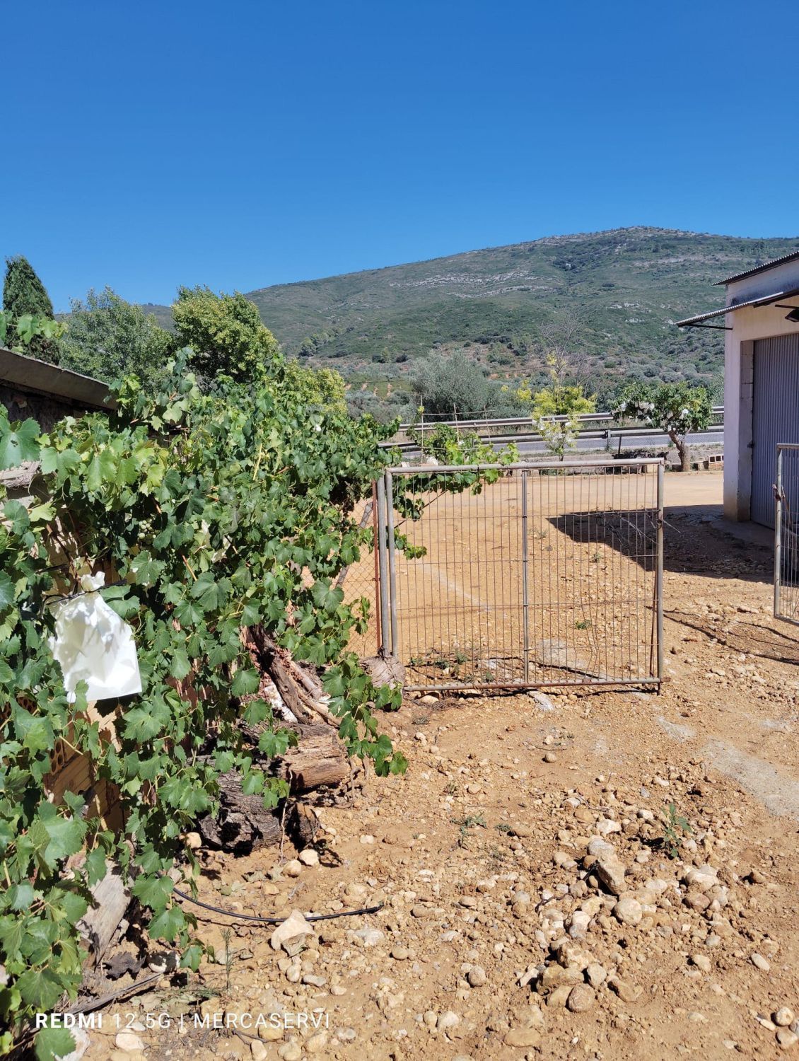 House or chalet for sale in Les Coves de Vinromà  with Terrace