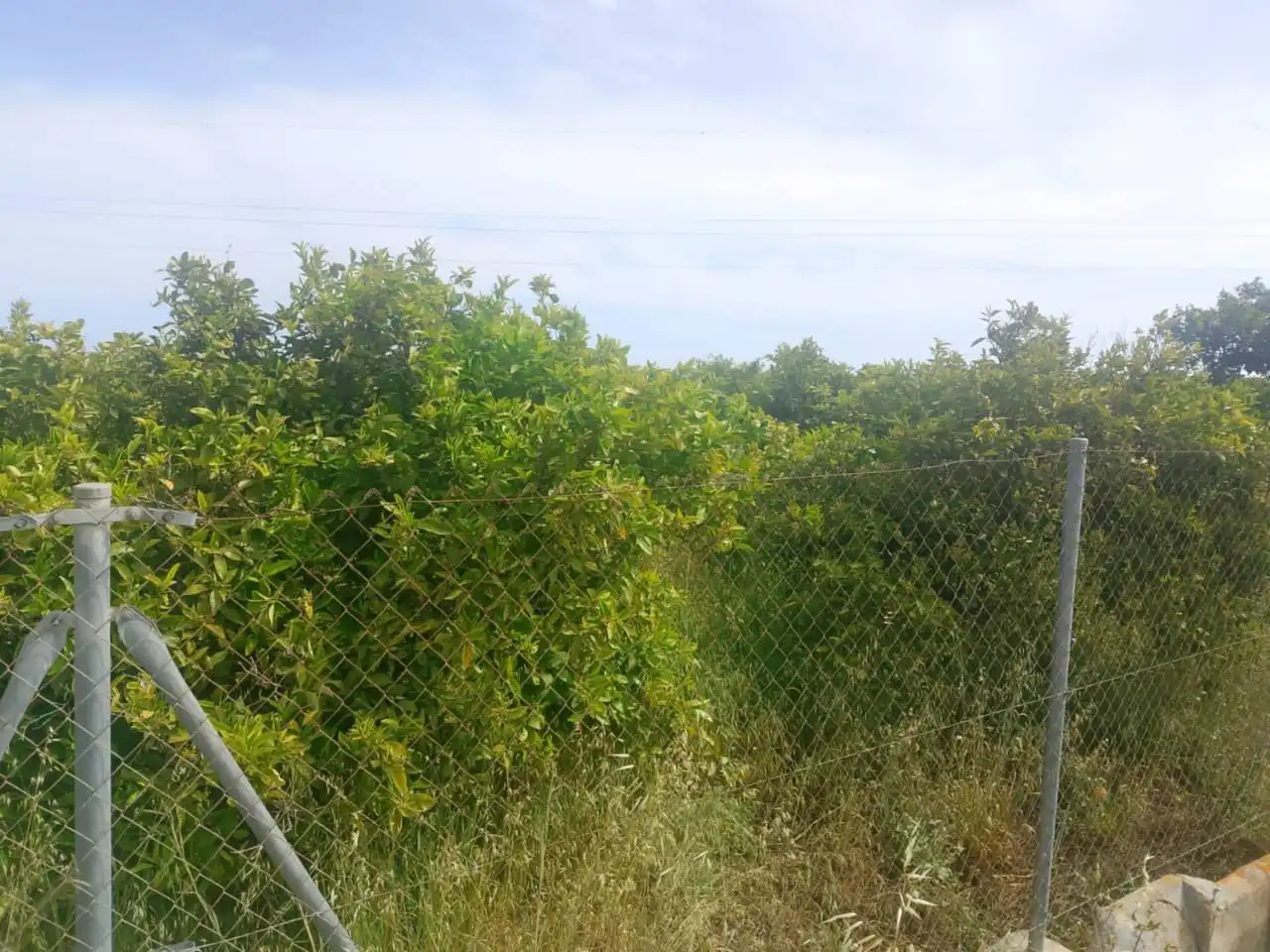 Rural land for sale in Camino Torre de los Pares, imagen 8