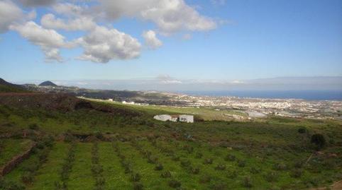 Photo 3 of Country house for sale in El Goro - Ojos de Garza, Las Palmas
