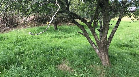 Venta de finca LLANA, edificable, a 10 minutos de Cangas de Onís, imagen 5