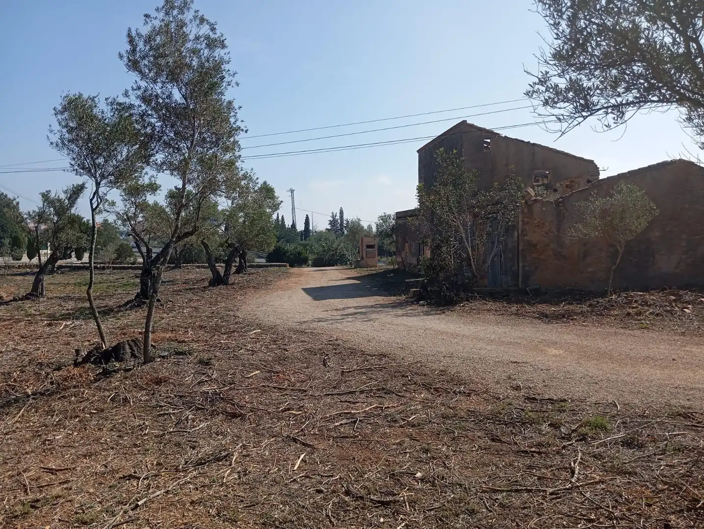 Finca rústica en venta en L'Ampolla