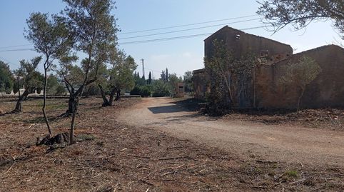 Foto 2 de Finca rústica en venda a Carrer Avinguda de Rafael Llaó Subirats, L'Ampolla, Tarragona