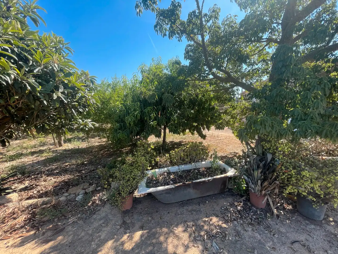 Jardín de Finca rústica en venta en Muro con Jardín privado, Terraza y Trastero