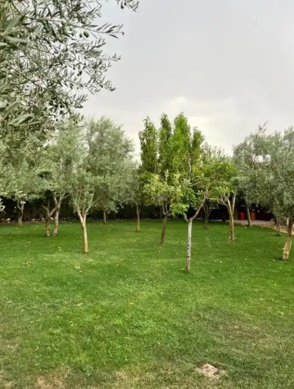 Finca rústica en venta en Malagón con Aire acondicionado, Calefacción y Jardín privado