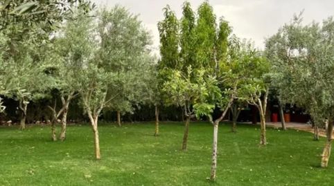 Foto 5 de Finca rústica en venta en Malagón, Ciudad Real