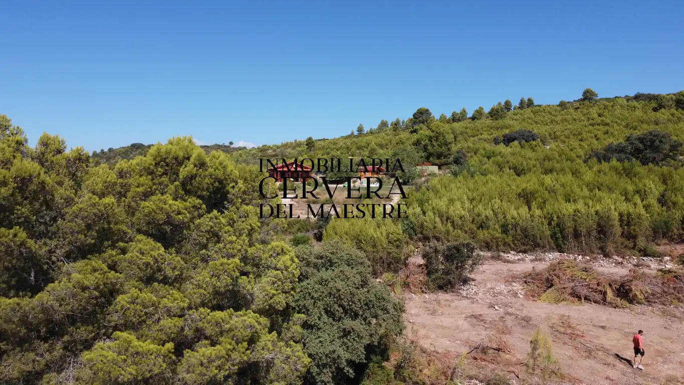 Terreno rustico in vendita a Cervera del Maestre, imagen 5