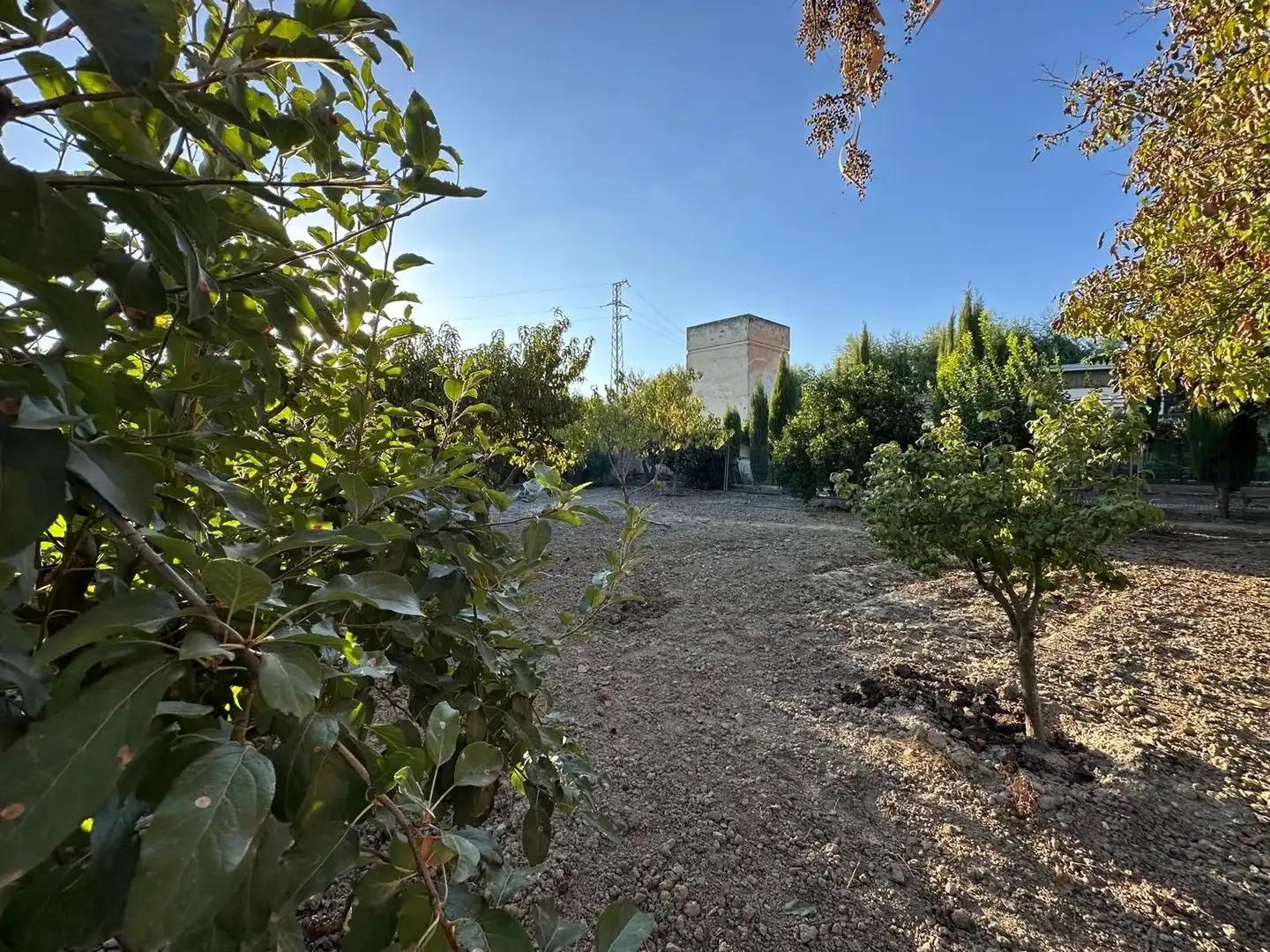 Terreny rústic en venda a Fuente Vaqueros, imagen 32