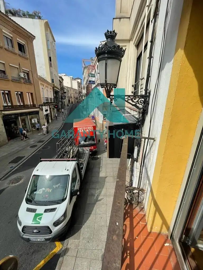 Immobles singulars amb ascensor en venda a Casco Antiguo, imagen 34