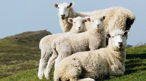 Foto 5 de Terreny industrial de lloguer a Riudecols, Tarragona