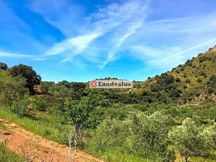 Terreni e lotti in vendita a Almogía, imagen 5