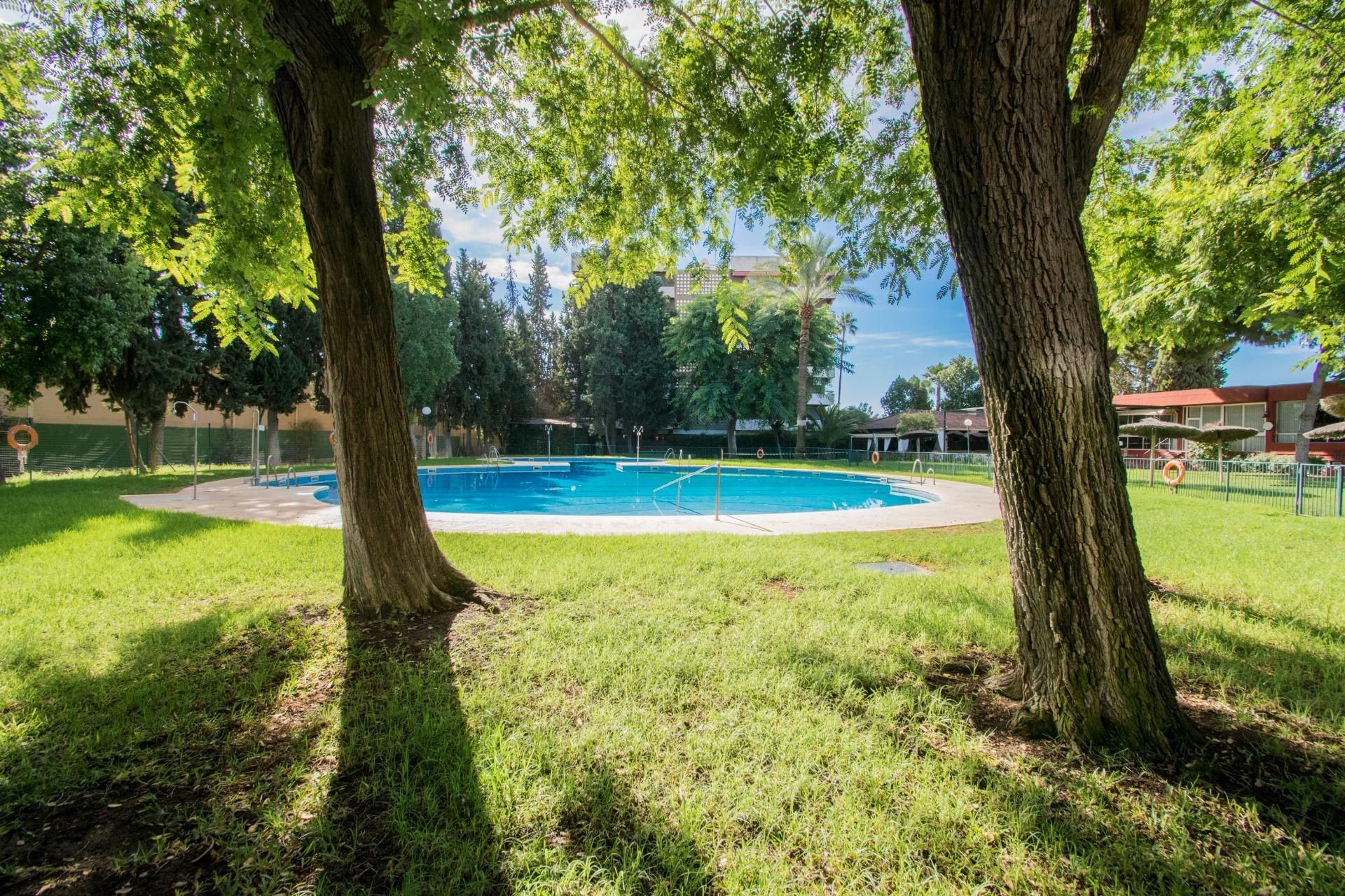 Piscina de Pis en venda en  Sevilla Capital amb Aire condicionat, Calefacció i Terrassa