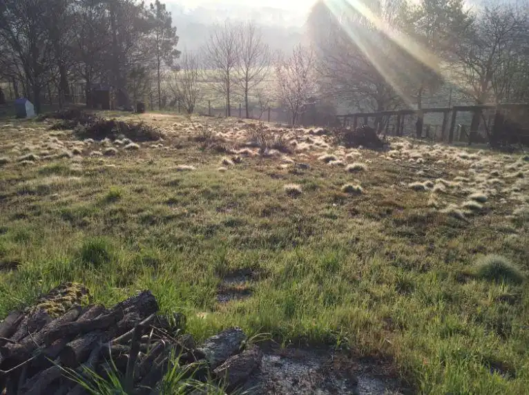 Lands and plots for sale in Couso