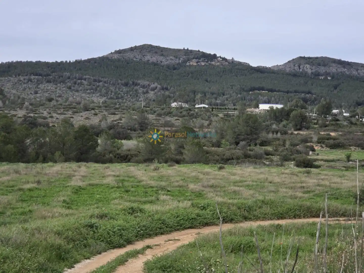 Land for sale in Benigànim