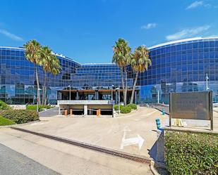 Vista exterior de Oficina en venda en  Palma de Mallorca