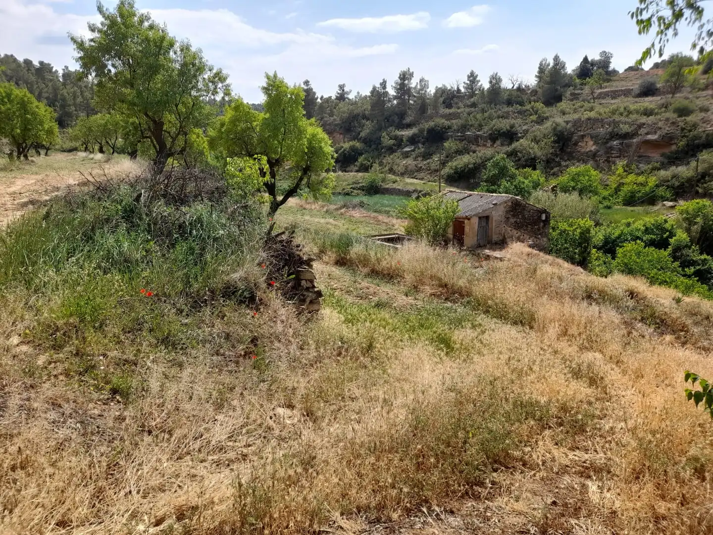 Terreni e lotti in vendita a Camino Fuente 5, imagen 14