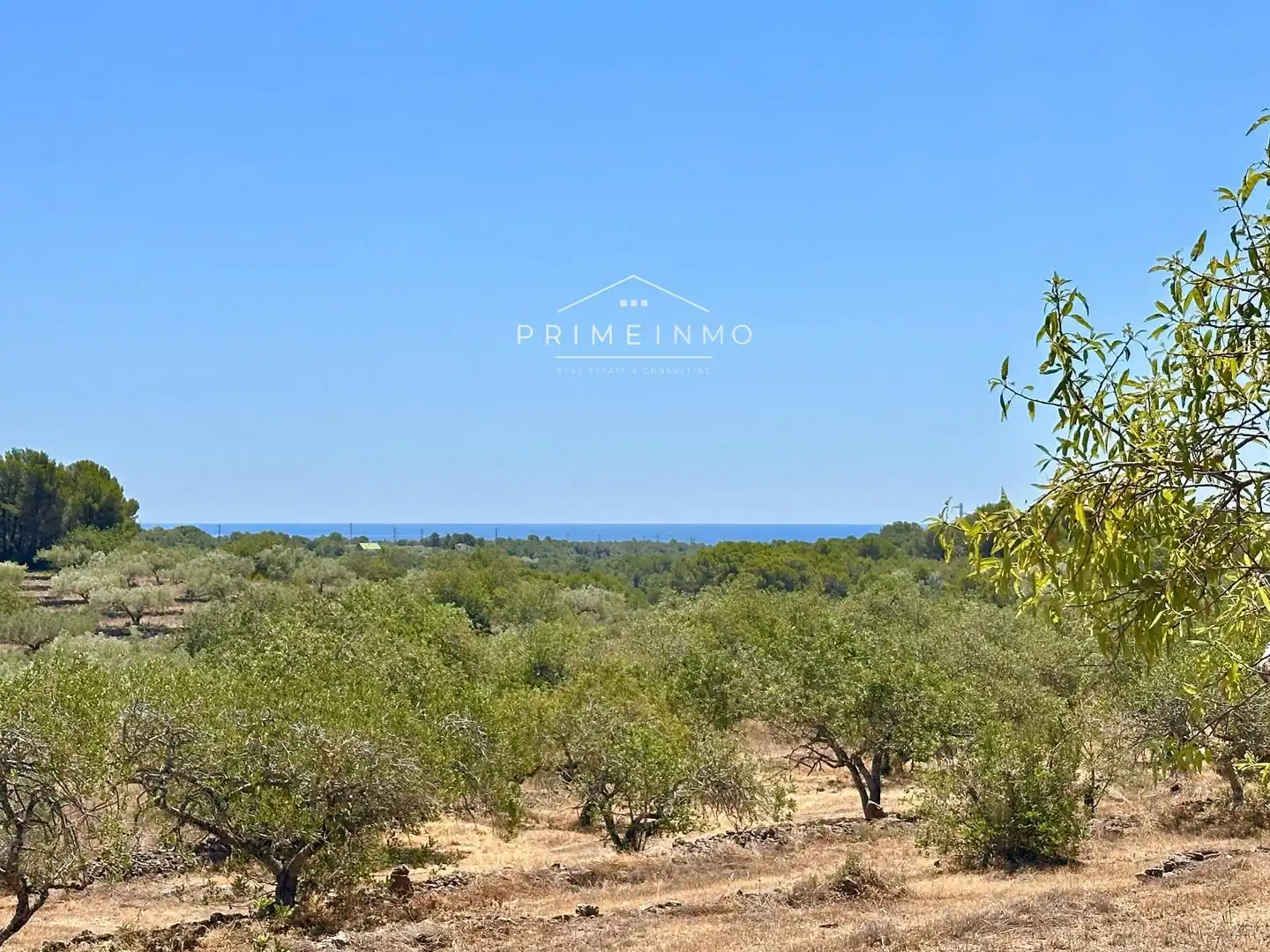 Finca rústica en venta en L'Ametlla de Mar 