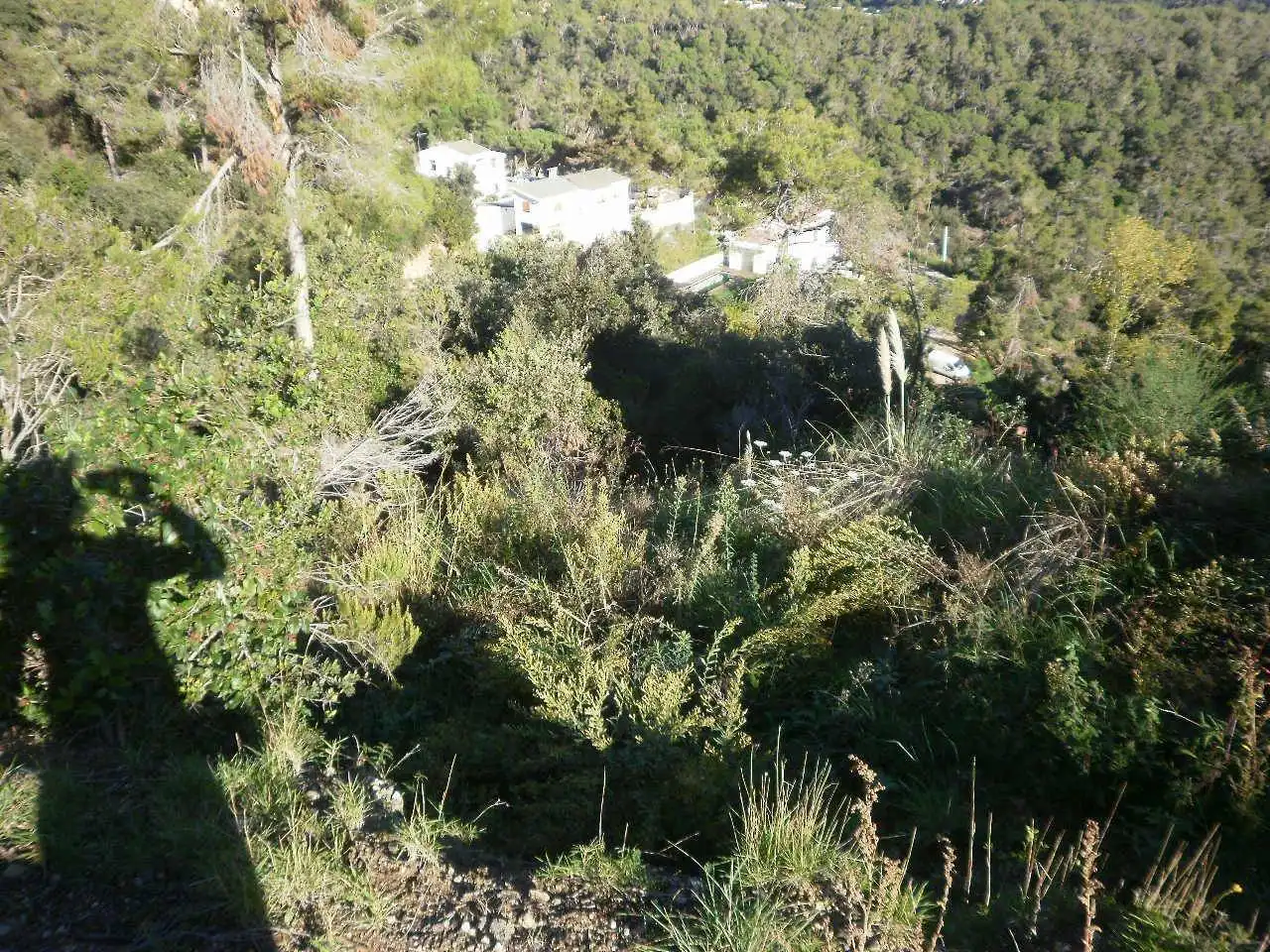 Residential land for sale in Palafolls, imagen 4