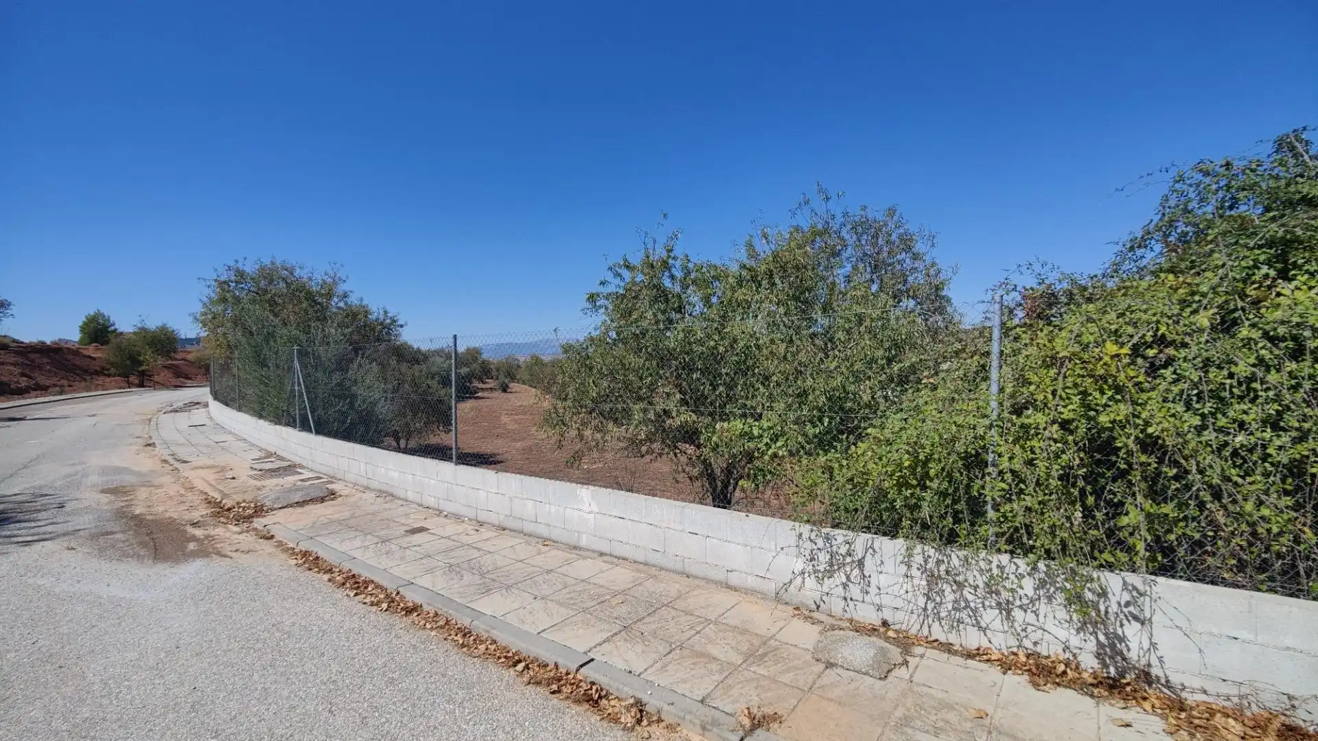 Terrenos y solares en venta en Centro de Albolote, imagen 9