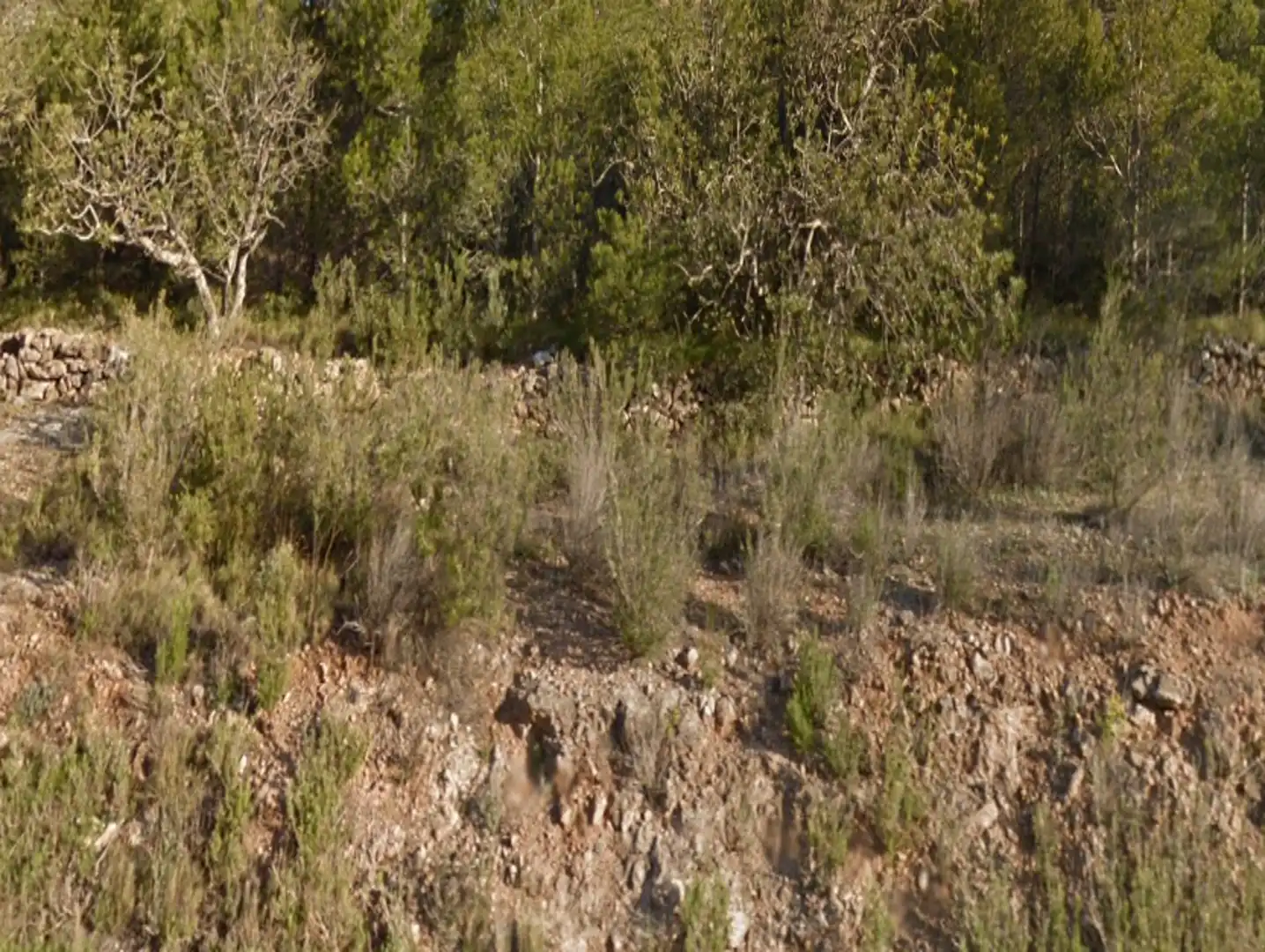 Terreny residencial en venda a Pratdip, imagen 5