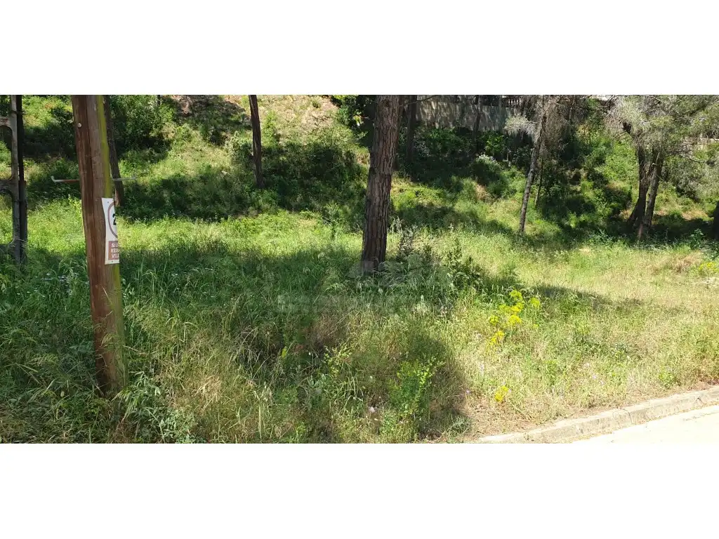 Terrain résidentiel à vendre à Platja de Pals, imagen 6