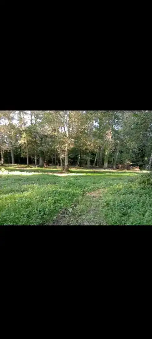 Finca rústica en venta en Cambre 