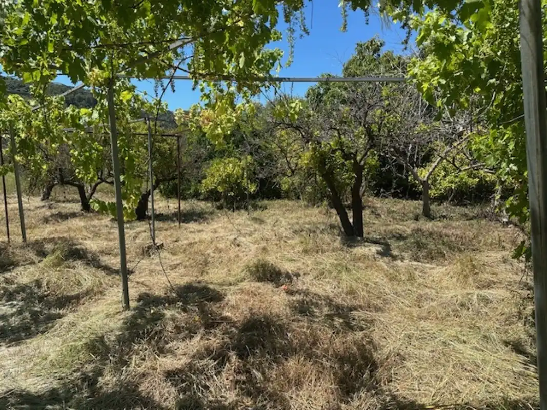 Terreno en venta en La Font d'en Carròs