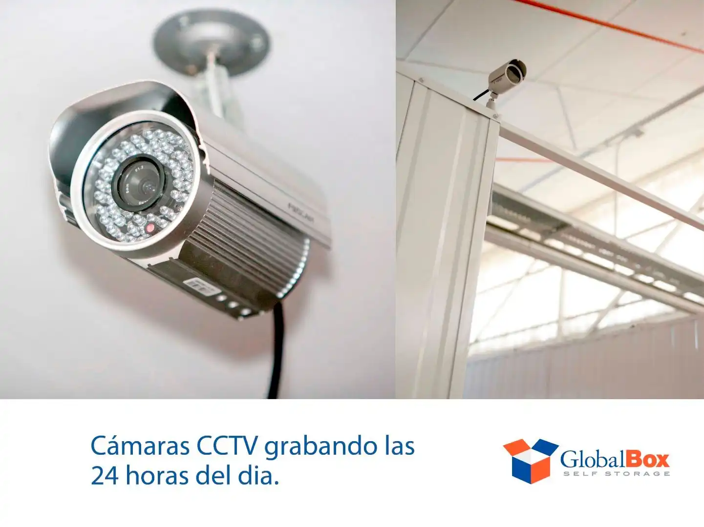 Garden of Storage room for rent in Madrid  with Alarm