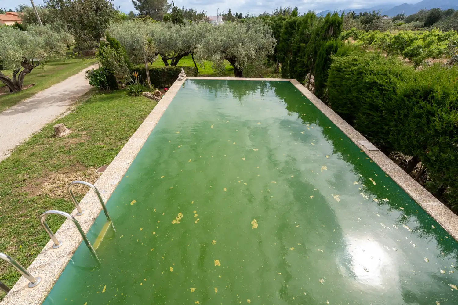 Swimming pool of Houses for sale in Aldover  with Air Conditioner, Private garden and Terrace