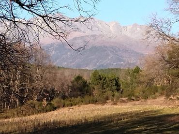 Terreno rustico in vendita a Villanueva de la Vera
