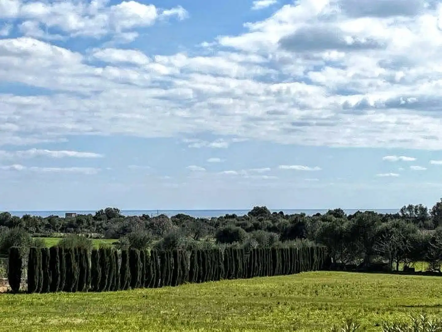 Country house zum Verkauf in Porto Cristo