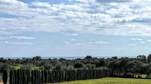 Foto 4 de Finca rústica en venta en Porto Cristo, Manacor