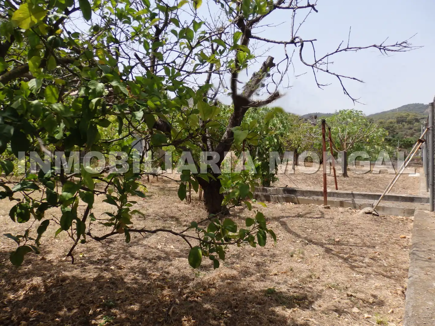 Terreny residencial en venda a Carrer de Can Paulet, imagen 8
