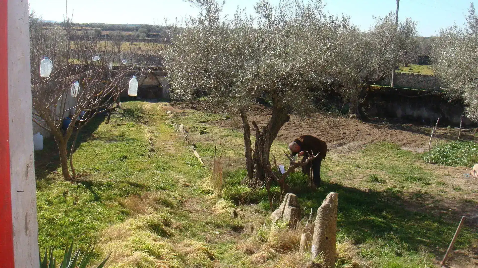 Garten von Wohnung zum Verkauf in Torremocha mit Privatgarten und Balkon