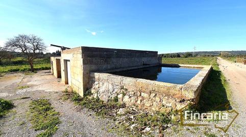 Foto 4 de Casa o xalet en venda a Ma-3321, Manacor Centre, Manacor