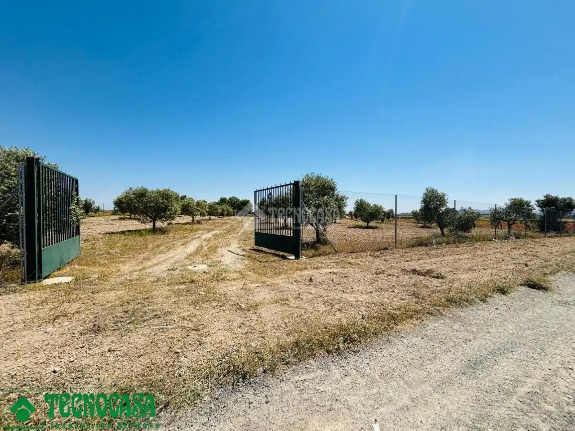 Land for sale in Mascaraque