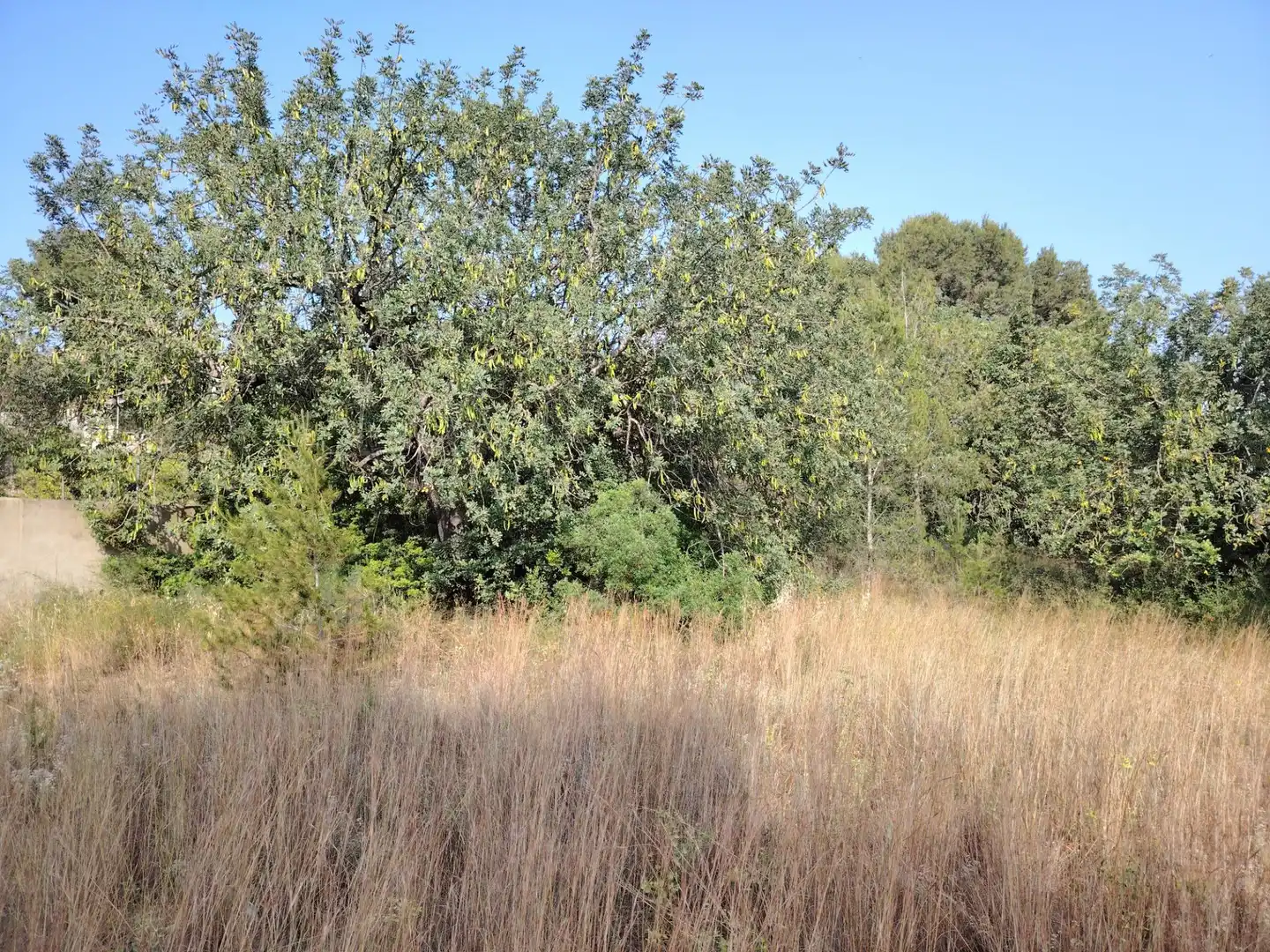 Residential land for sale in Parque de la Bombilla, imagen 7