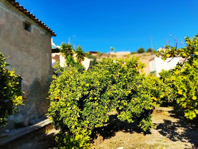 Terreno residencial en Venta en El Valle