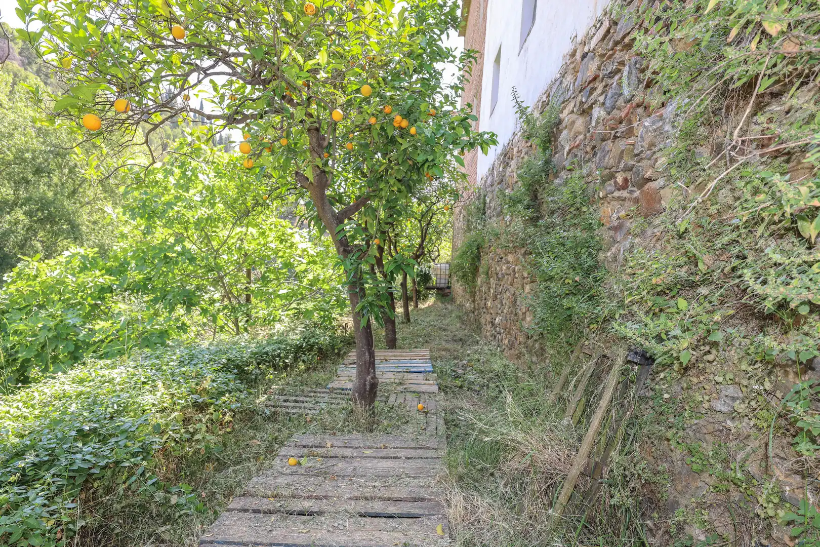 Rustikales Grundstück zum Verkauf in Calle Barranco de Amador, imagen 4