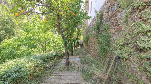 Tu propio pedacito de paraíso, immagine 4