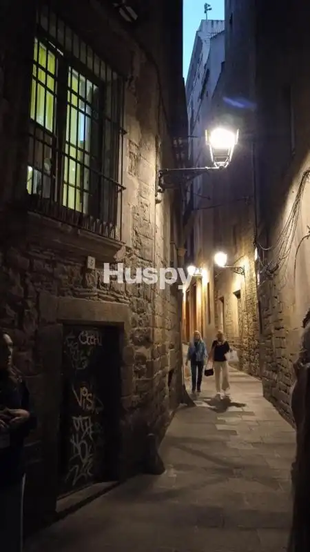 Pis amb terrassa en venda a Carrer d'Avinyó, imagen 44