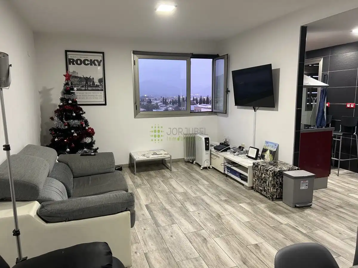 Sala de estar de Piso en venta en Castellón de la Plana / Castelló de la Plana con Terraza