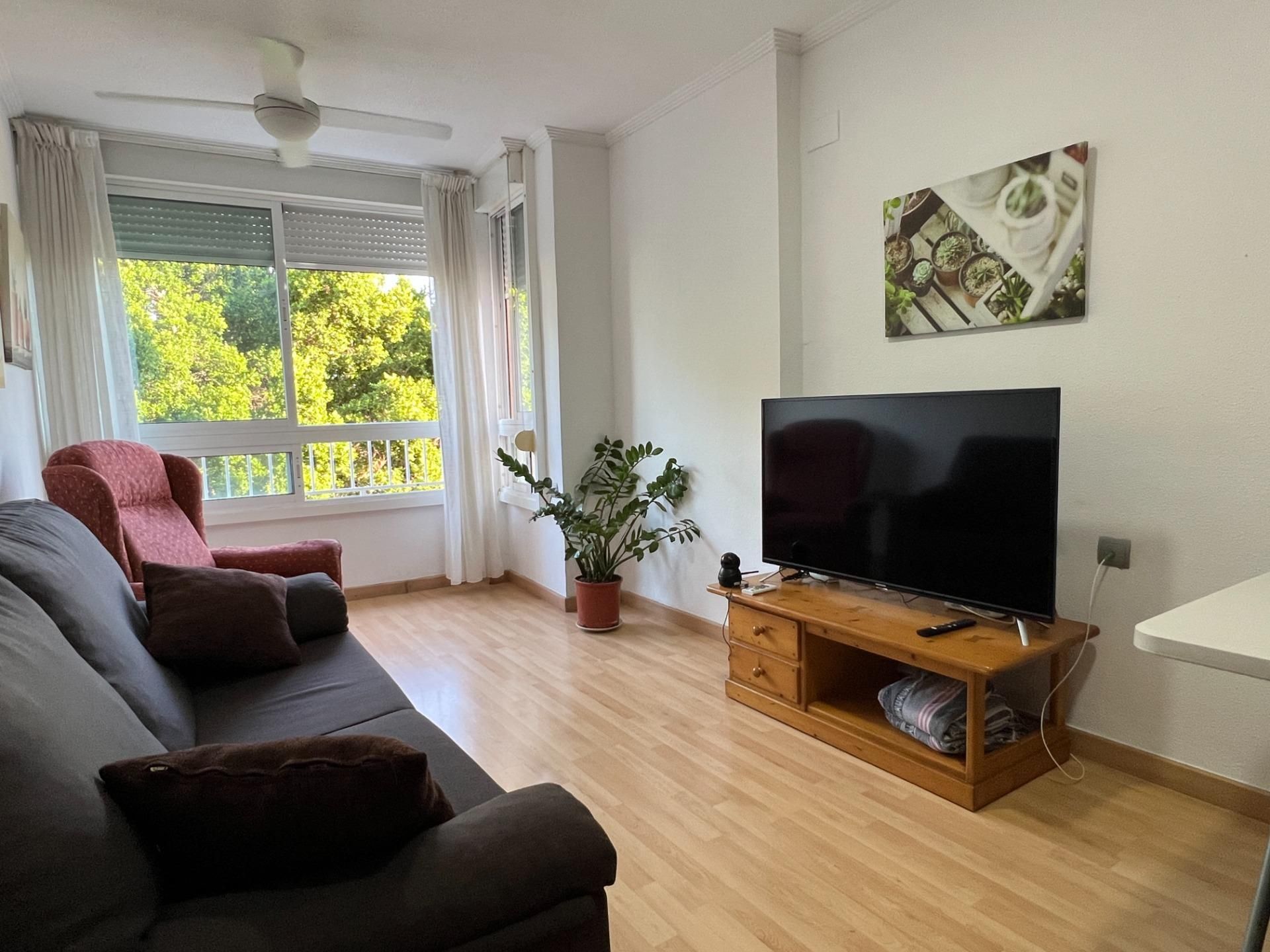 Living room of Flat to rent in Elche / Elx  with Balcony