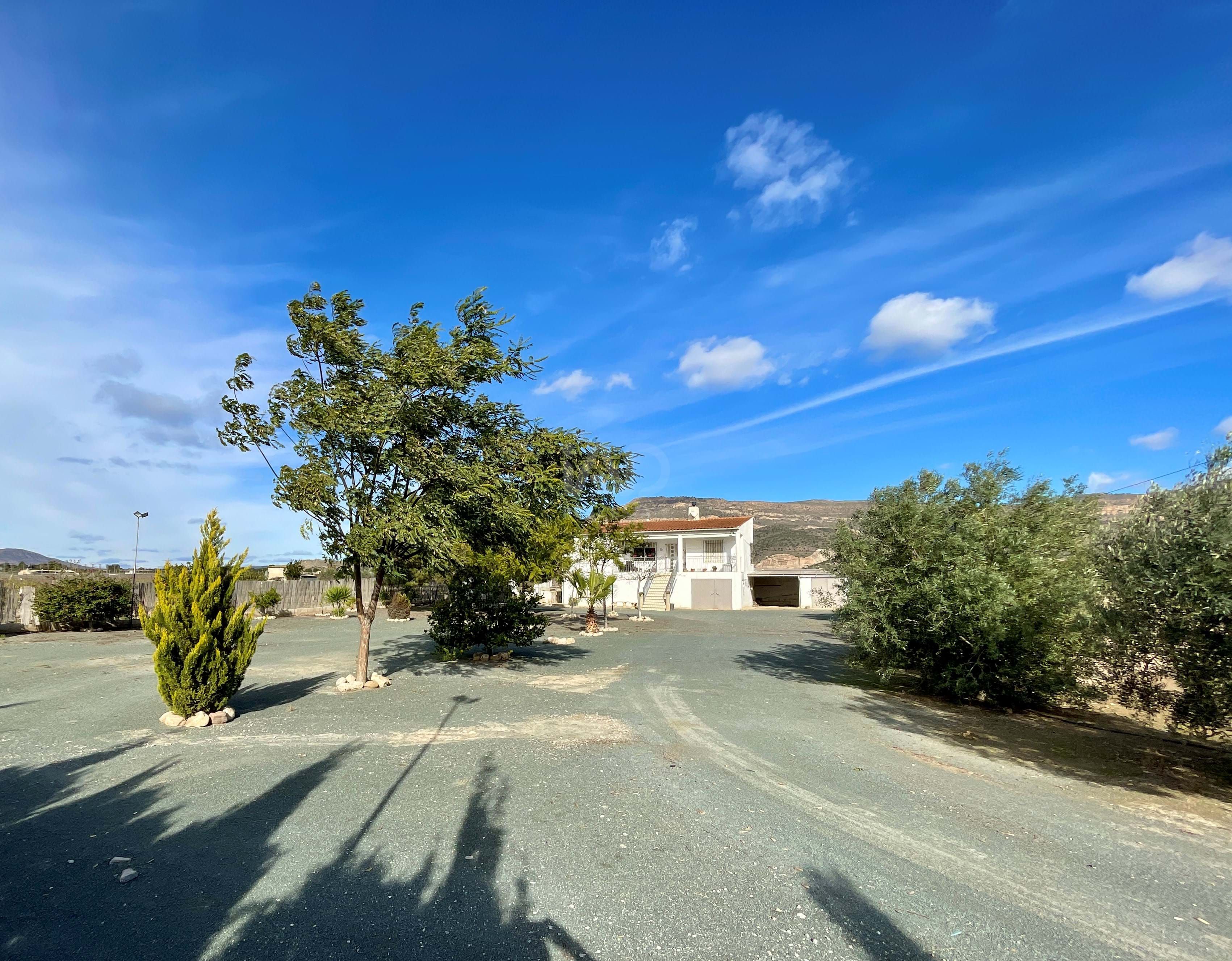 Vista exterior de Casa o xalet en venda en Blanca amb Aire condicionat, Calefacció i Terrassa