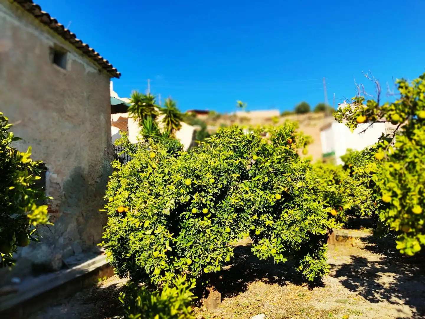 Terreno residenziale in vendita a El Valle