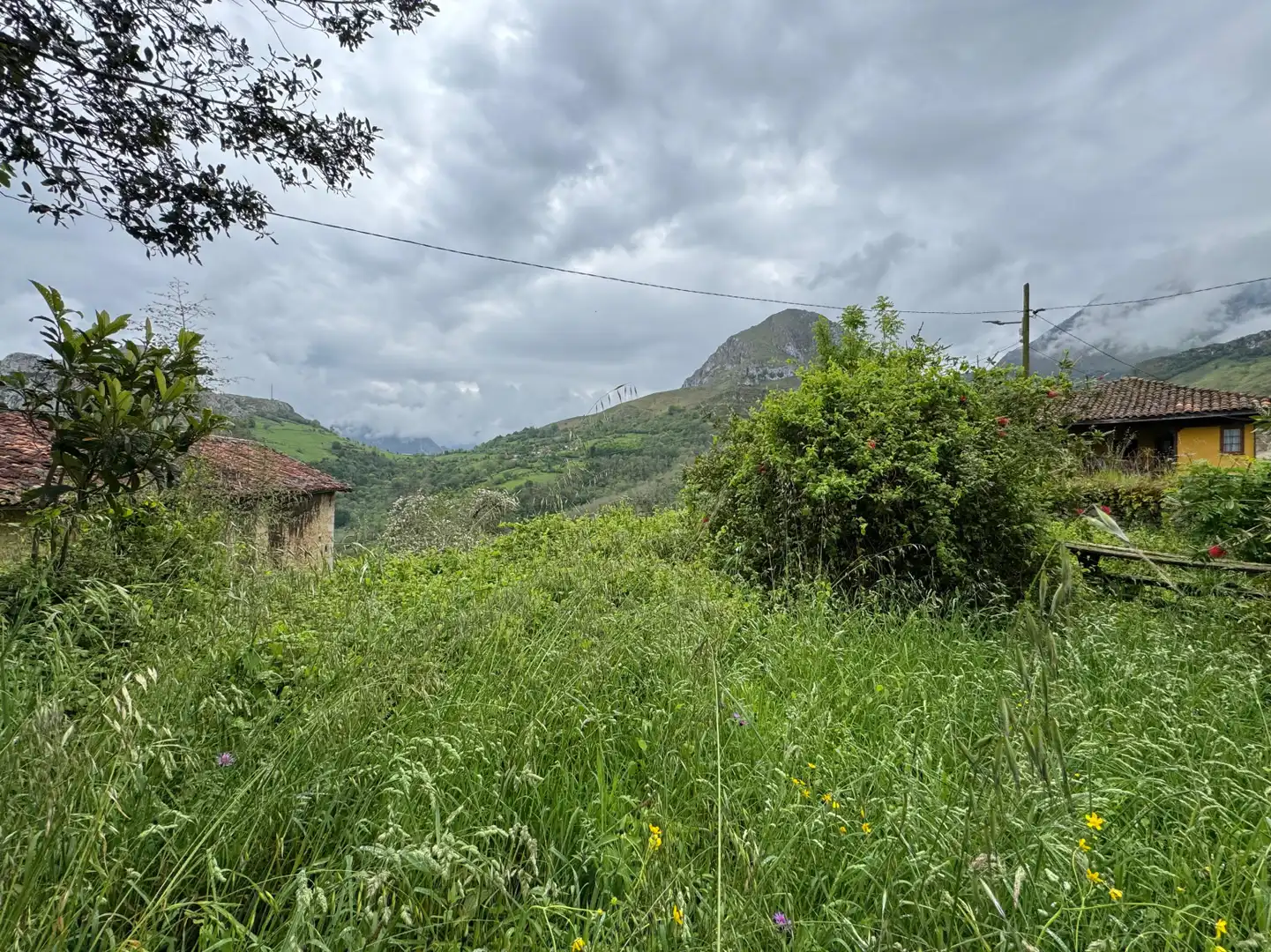 Detached homes for sale in Amieva - PB PEN, 14, Amieva