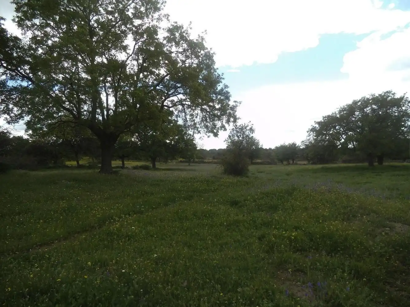 Residencial en venda en Valdemorillo