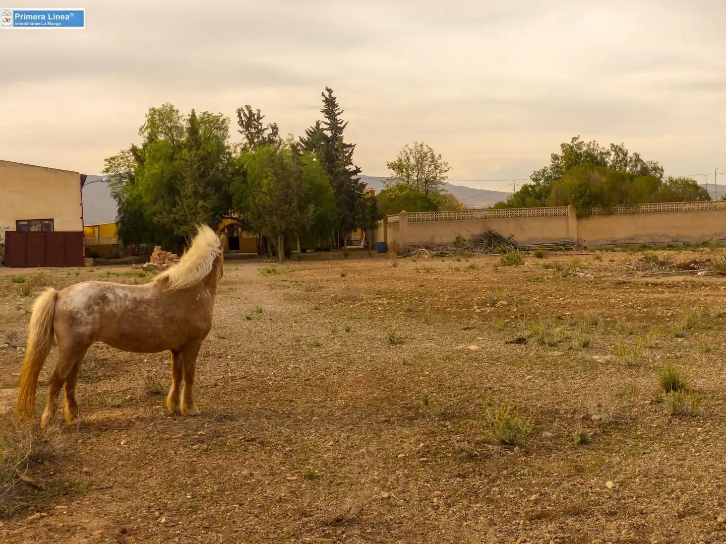 Vista exterior de Finca rústica en venda en Fuente Álamo de Murcia amb Calefacció, Jardí privat i Terrassa