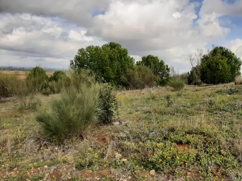 Terreni e lotti in vendita a GOLF DEL GUADIANA, imagen 5