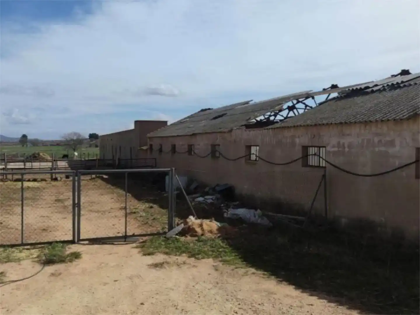 Vista exterior de Finca rústica en venda en Camporrobles